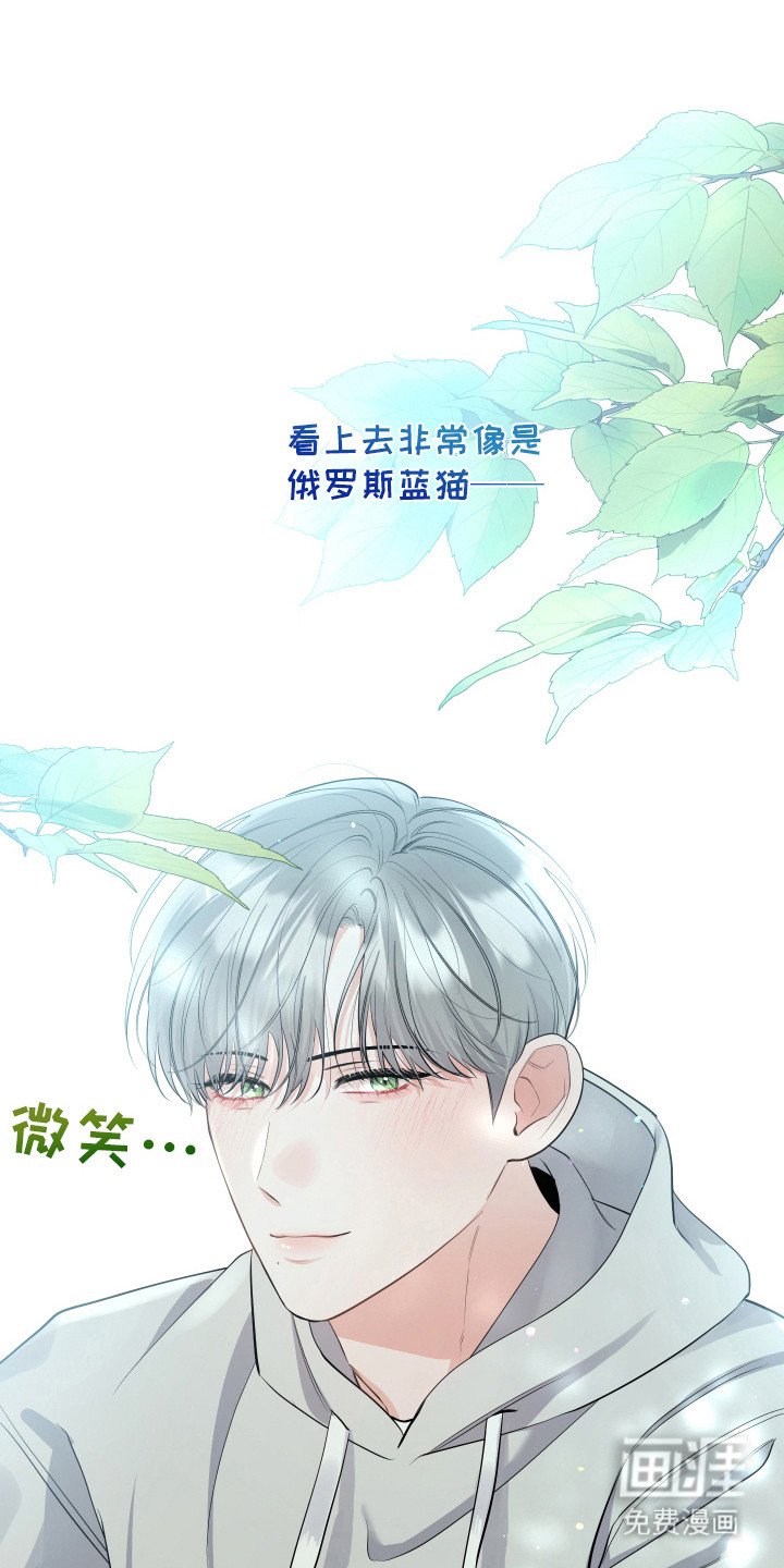 第3章：很像猫咪