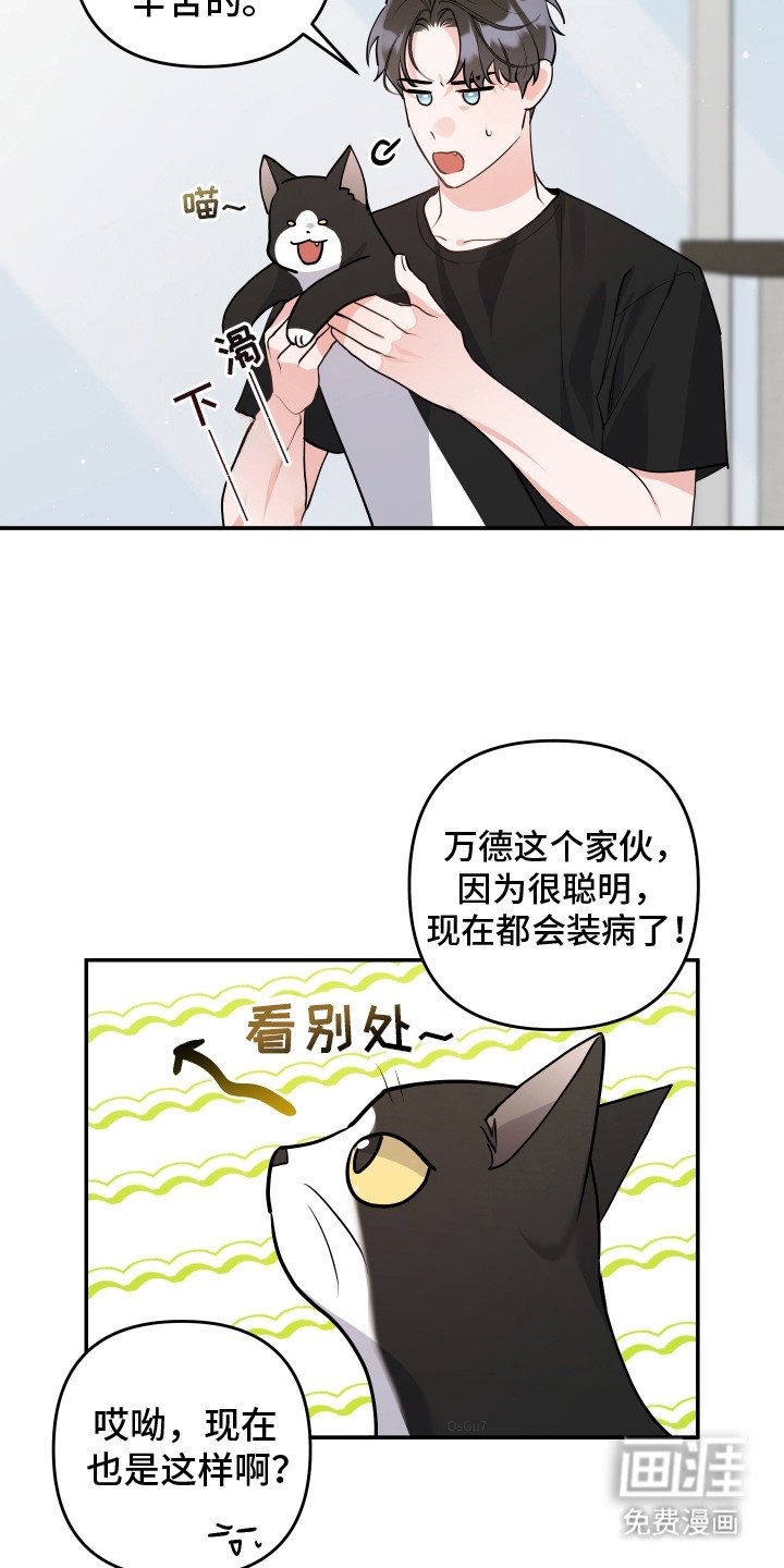 第5章：流泪