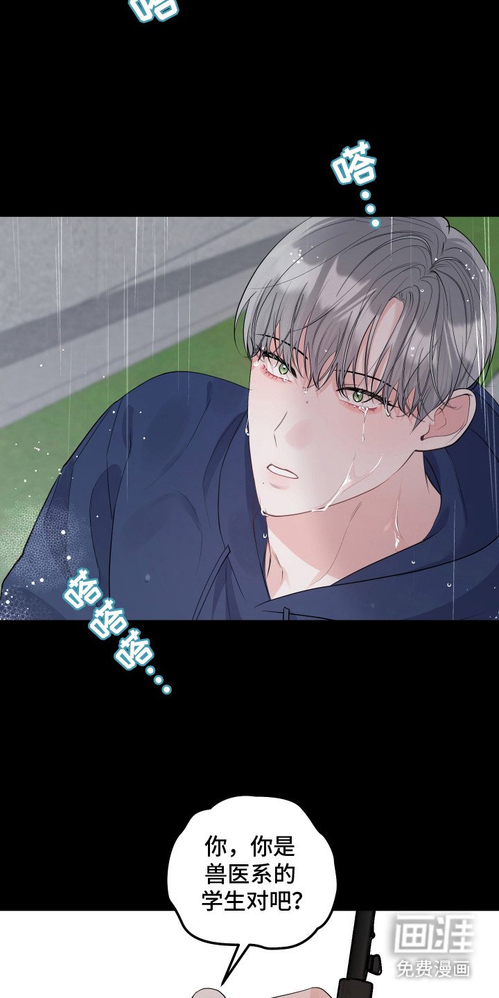 第5章：流泪