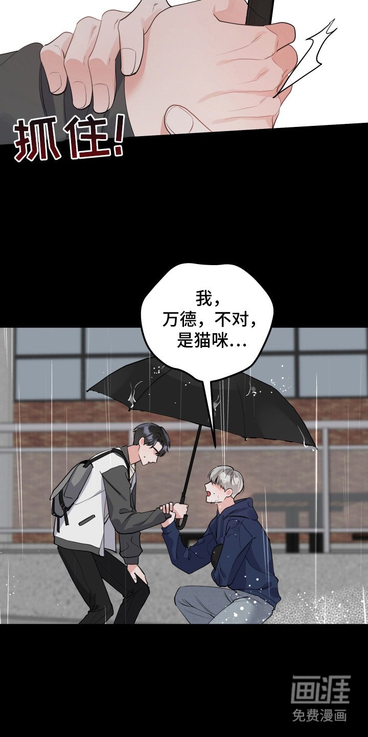 第5章：流泪