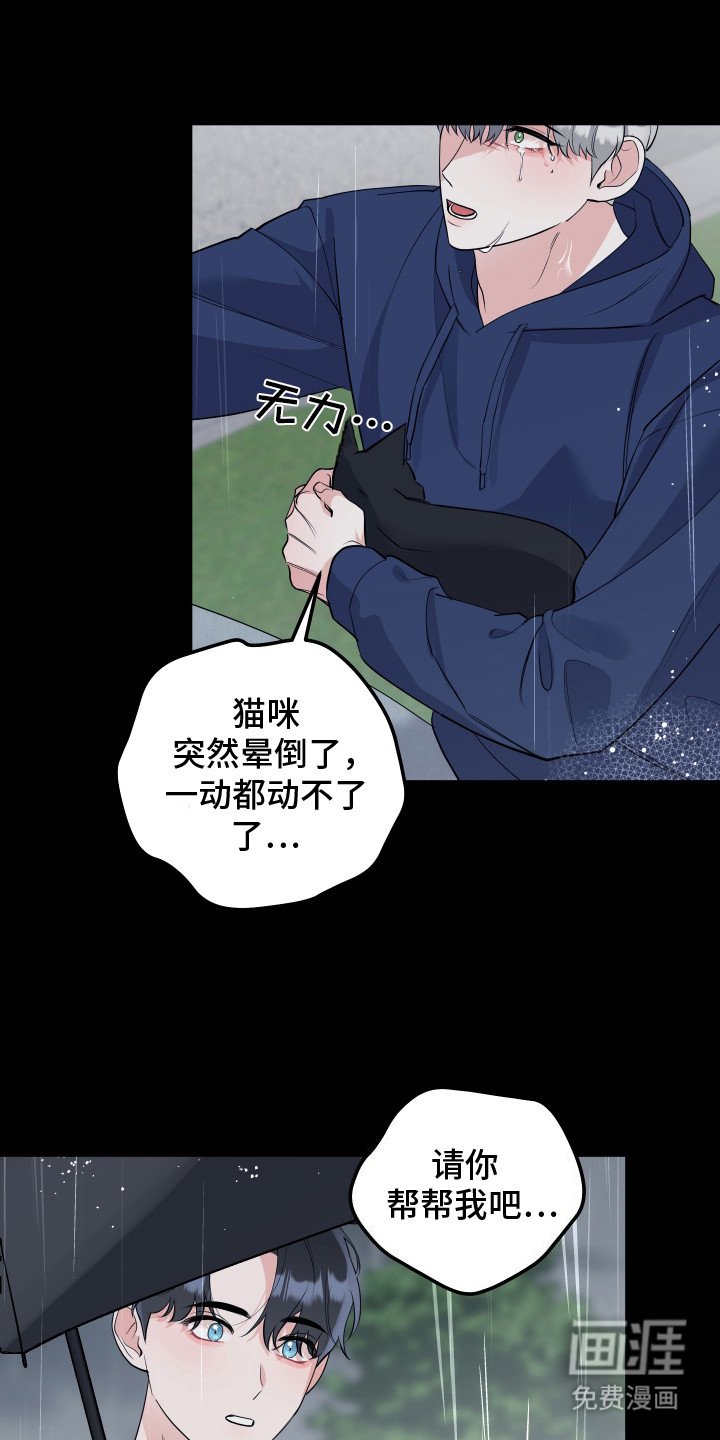 第5章：流泪
