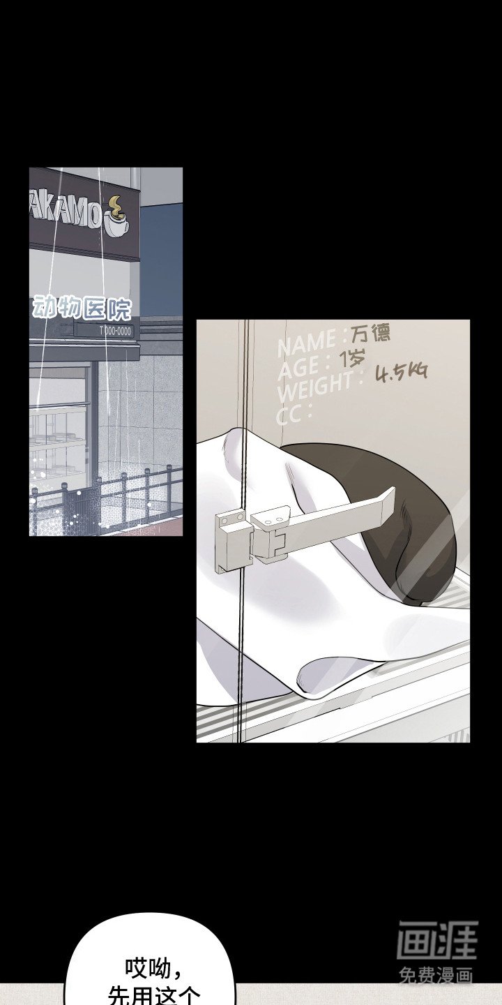 第6章：一见钟情