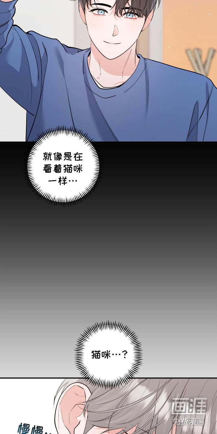 第6章：一见钟情