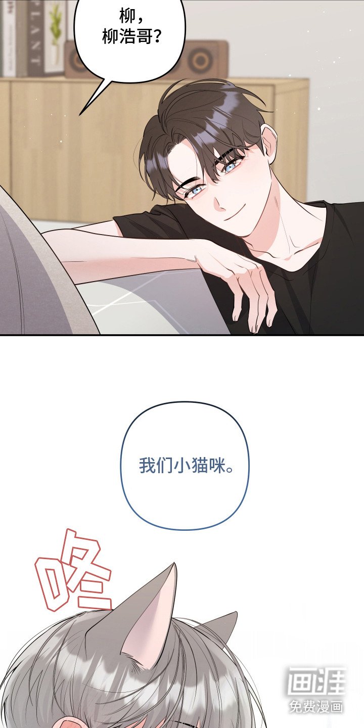 第6章：一见钟情
