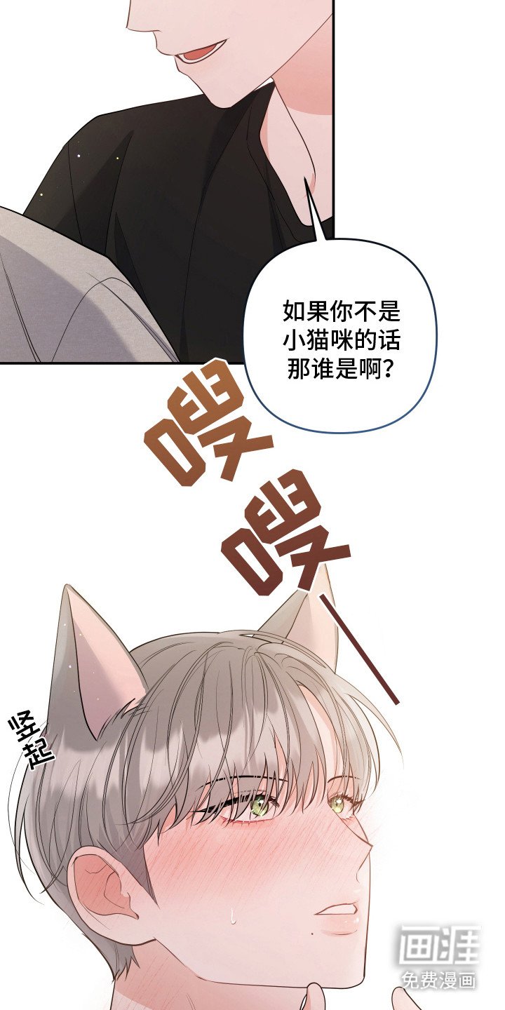 第7章：幻想 