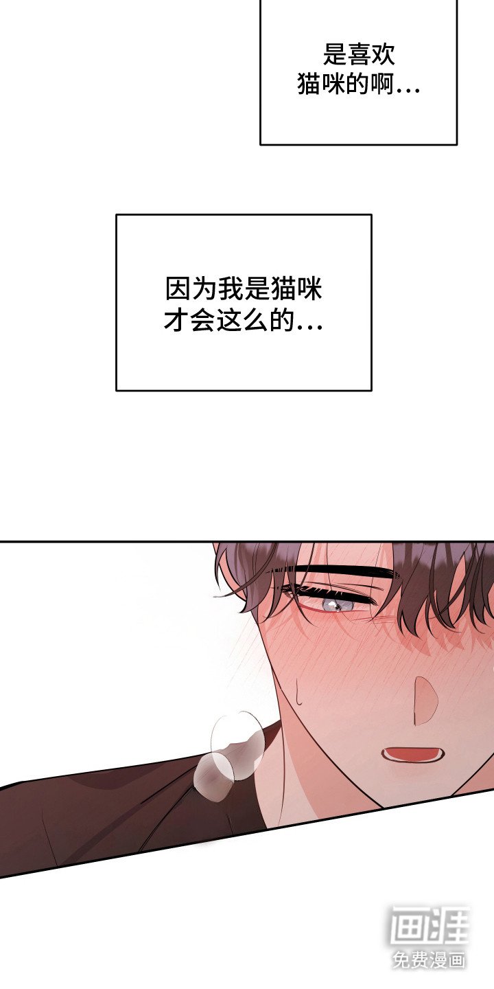 第7章：幻想 