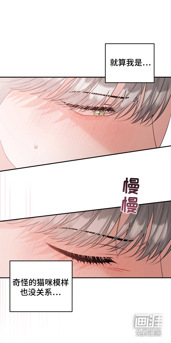 第8章：下决心