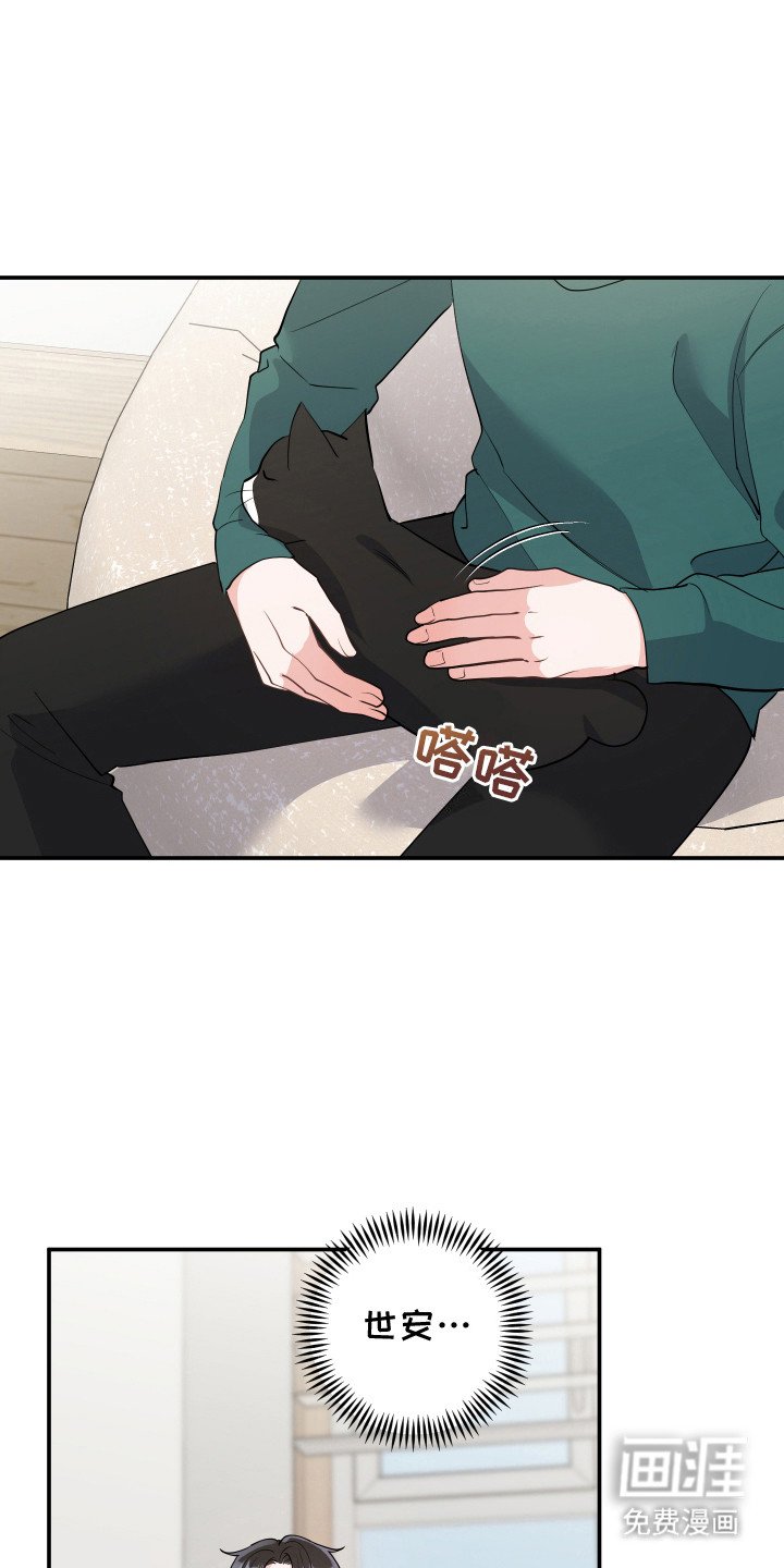 第9章：猫耳朵