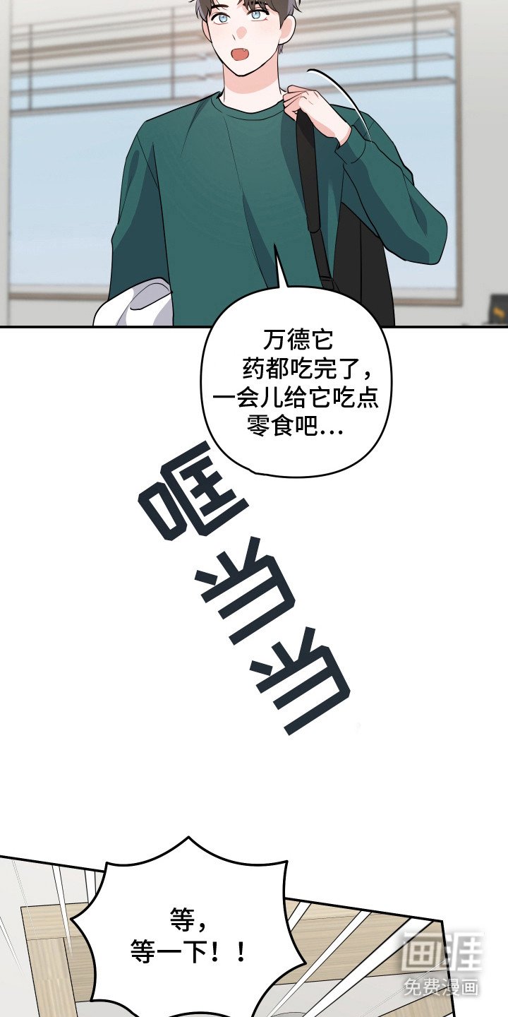 第9章：猫耳朵