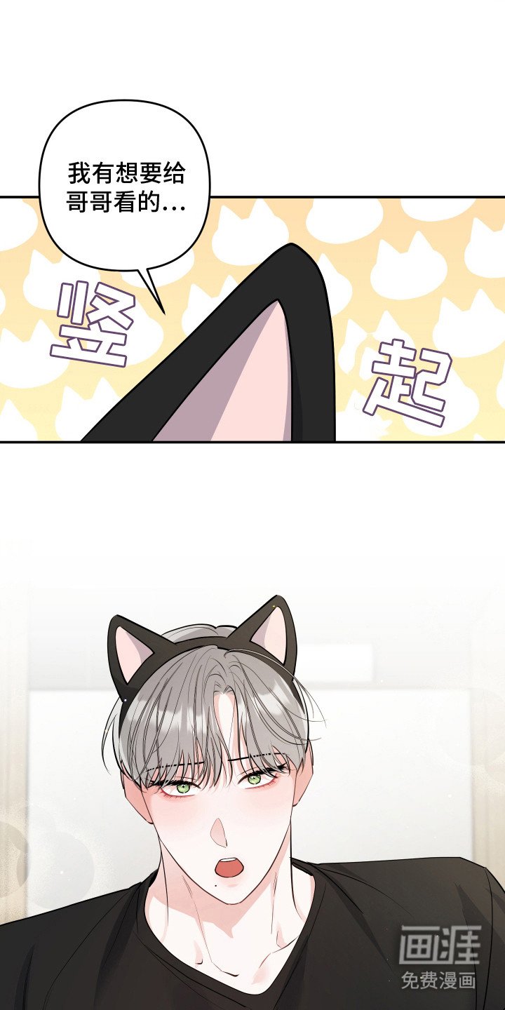 第9章：猫耳朵