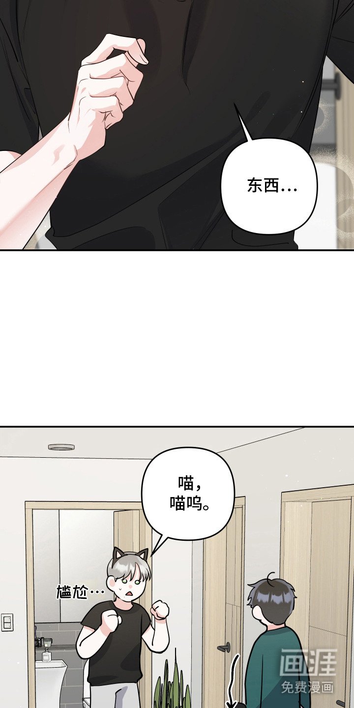 第9章：猫耳朵