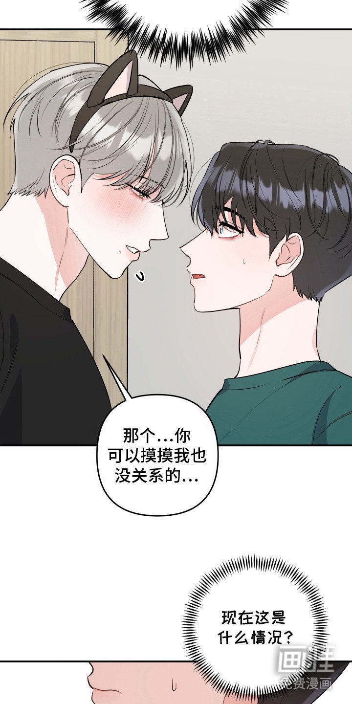 第9章：猫耳朵