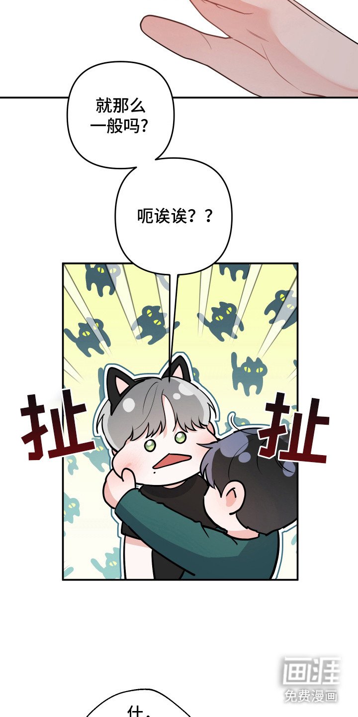 第9章：猫耳朵