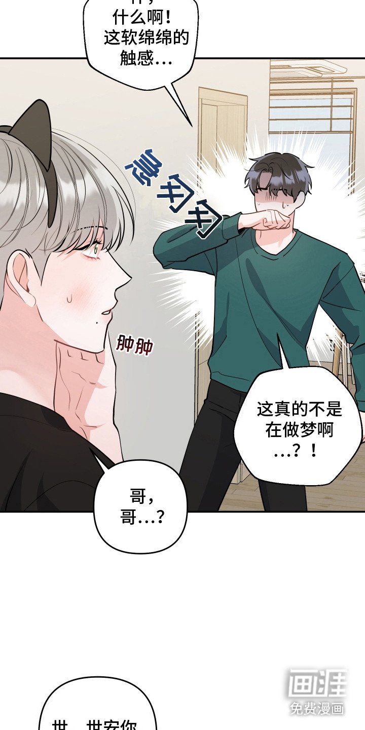 第9章：猫耳朵