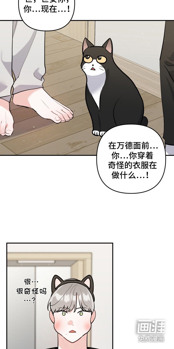 第9章：猫耳朵
