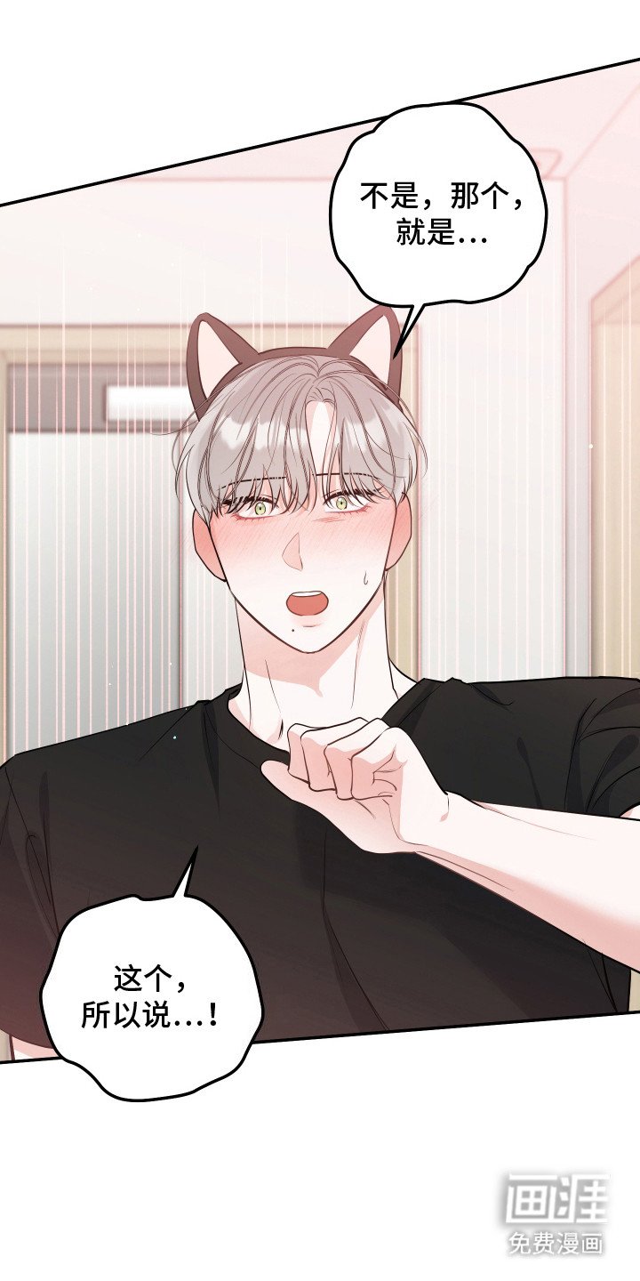 第9章：猫耳朵