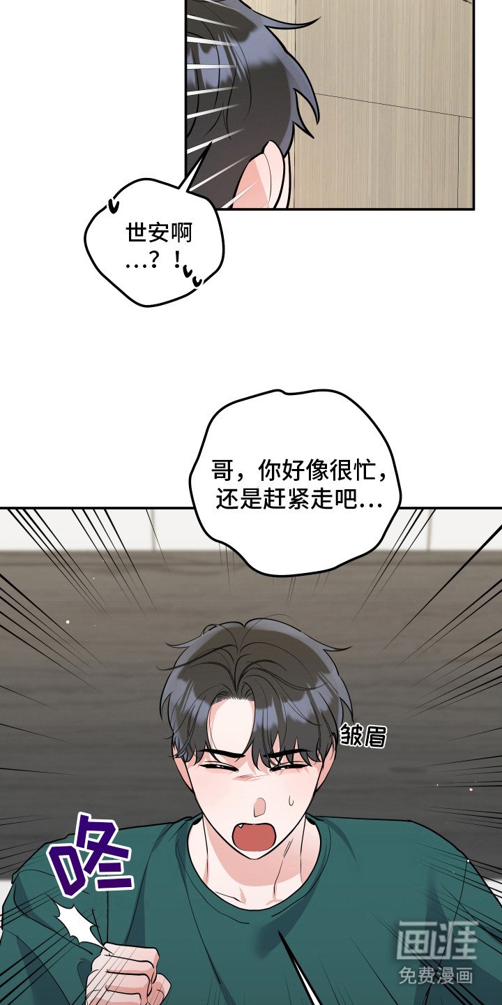 第9章：猫耳朵