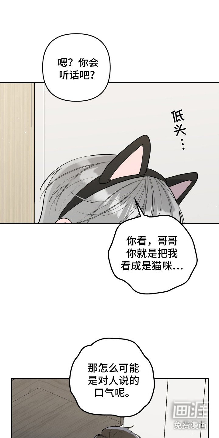 第9章：猫耳朵