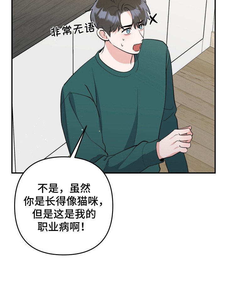 第9章：猫耳朵