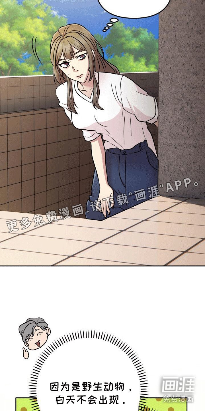 第20章：离谱传闻