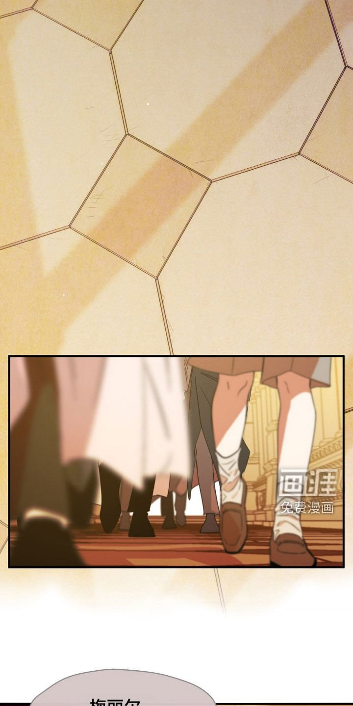 第19章：太多行程