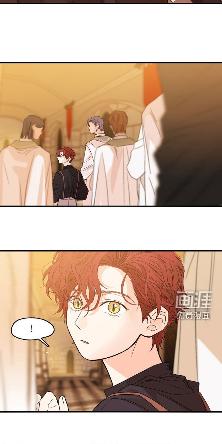 第19章：太多行程