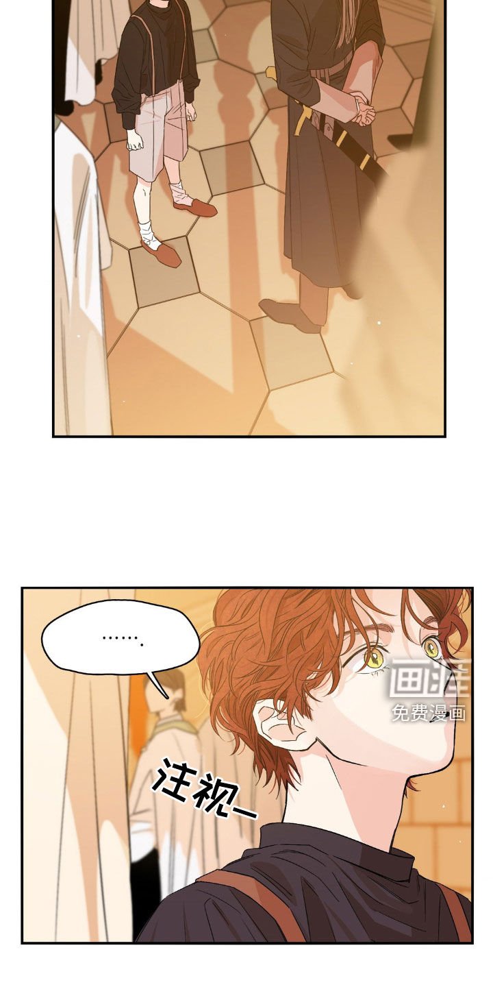 第19章：太多行程