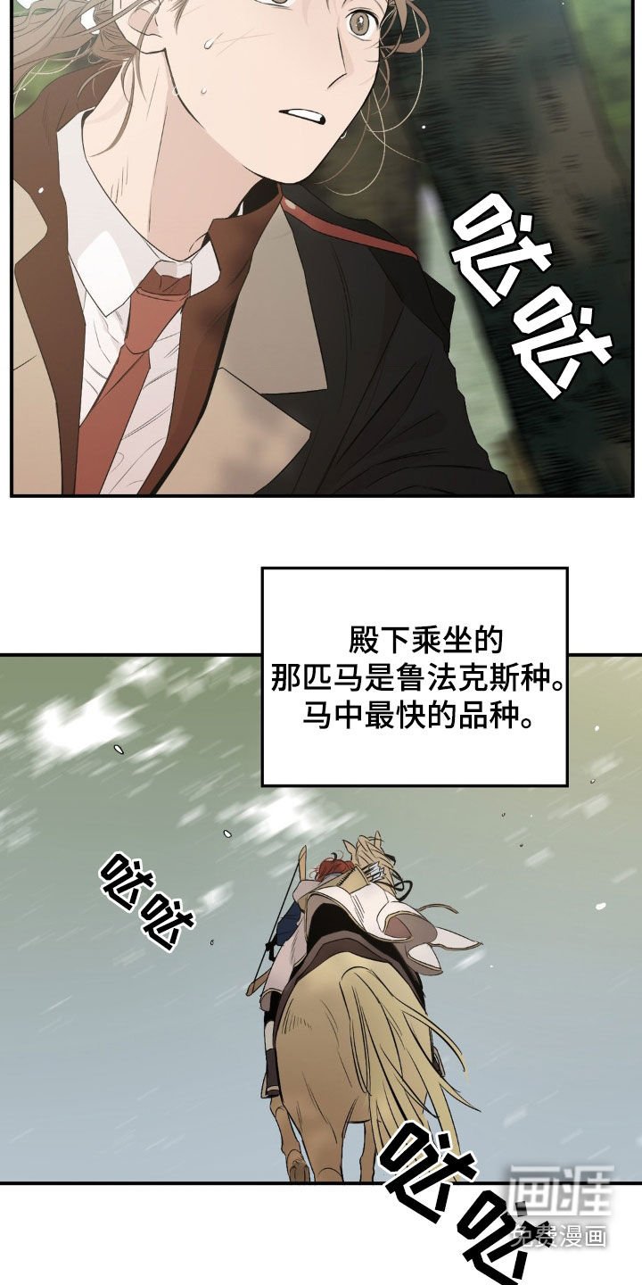 第25章：刺杀