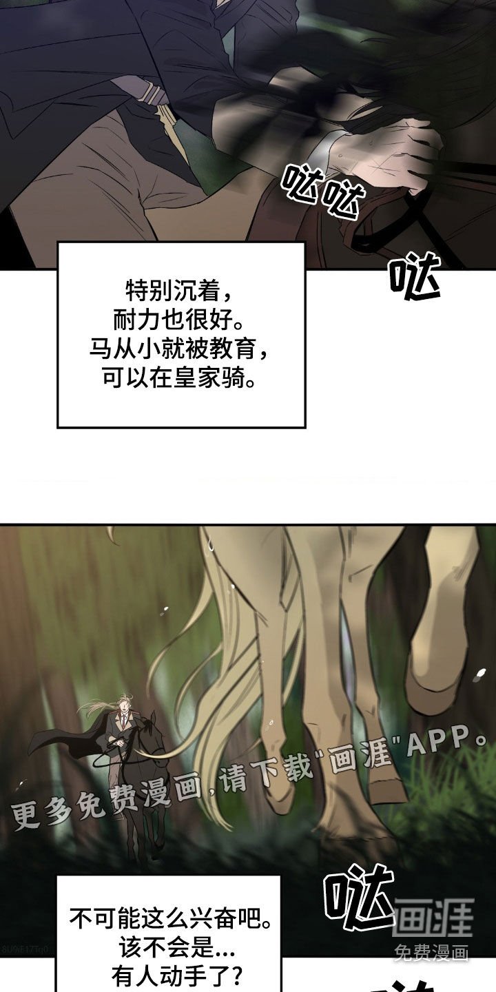第25章：刺杀