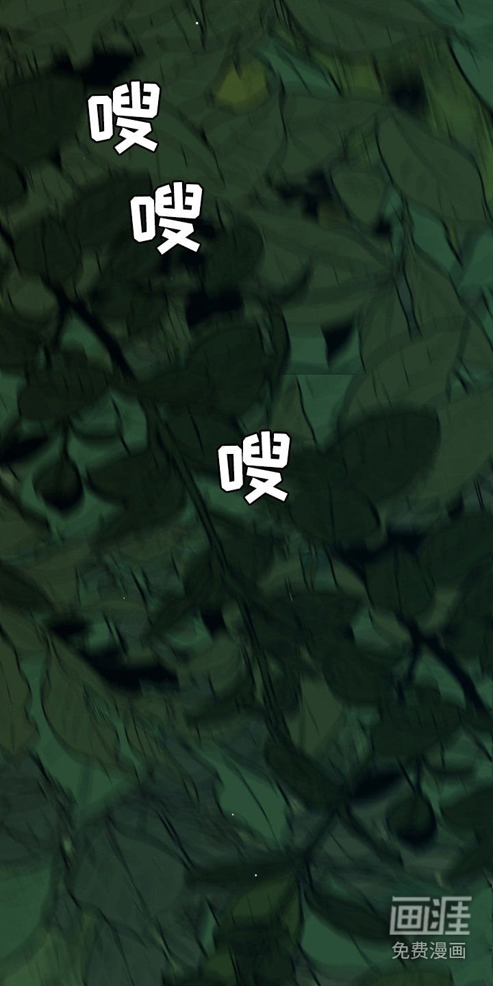 第25章：刺杀