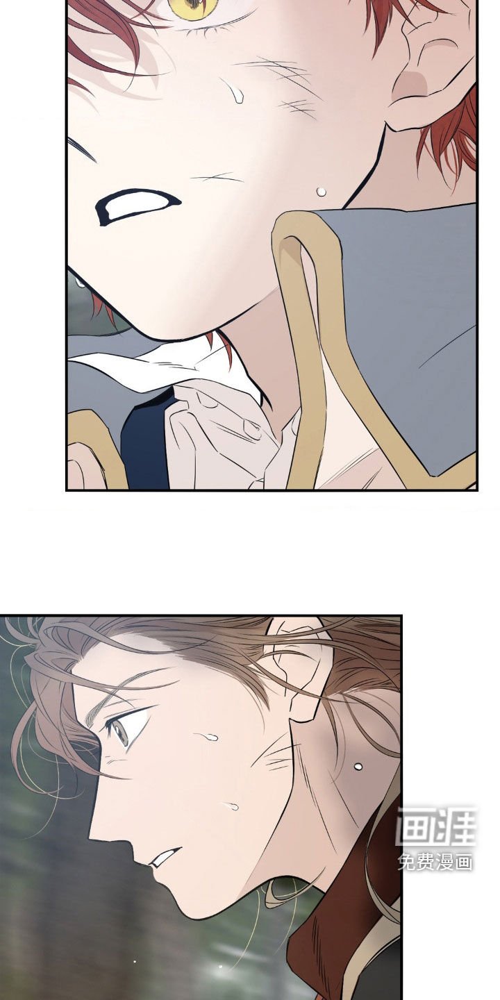第25章：刺杀