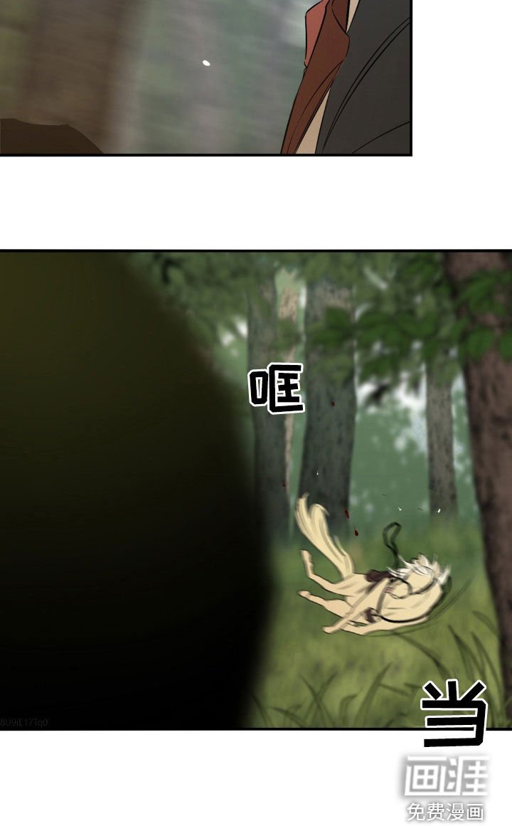 第25章：刺杀