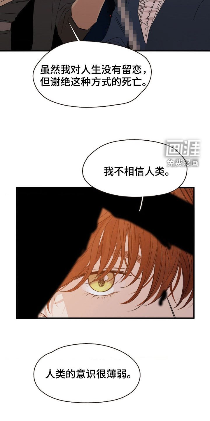 第28章：联手
