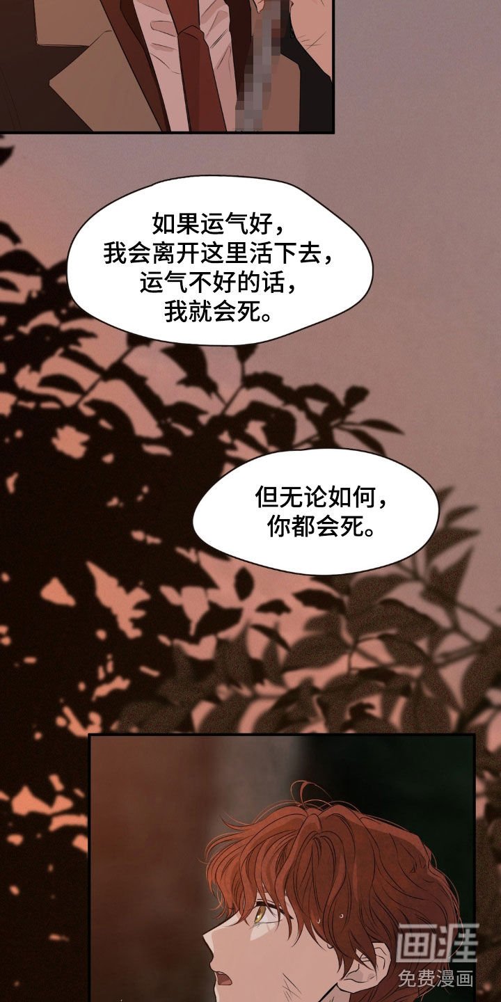 第28章：联手
