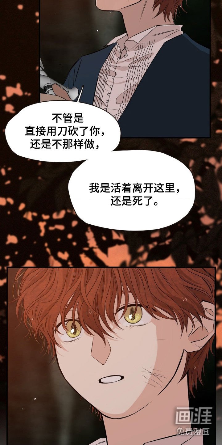 第28章：联手