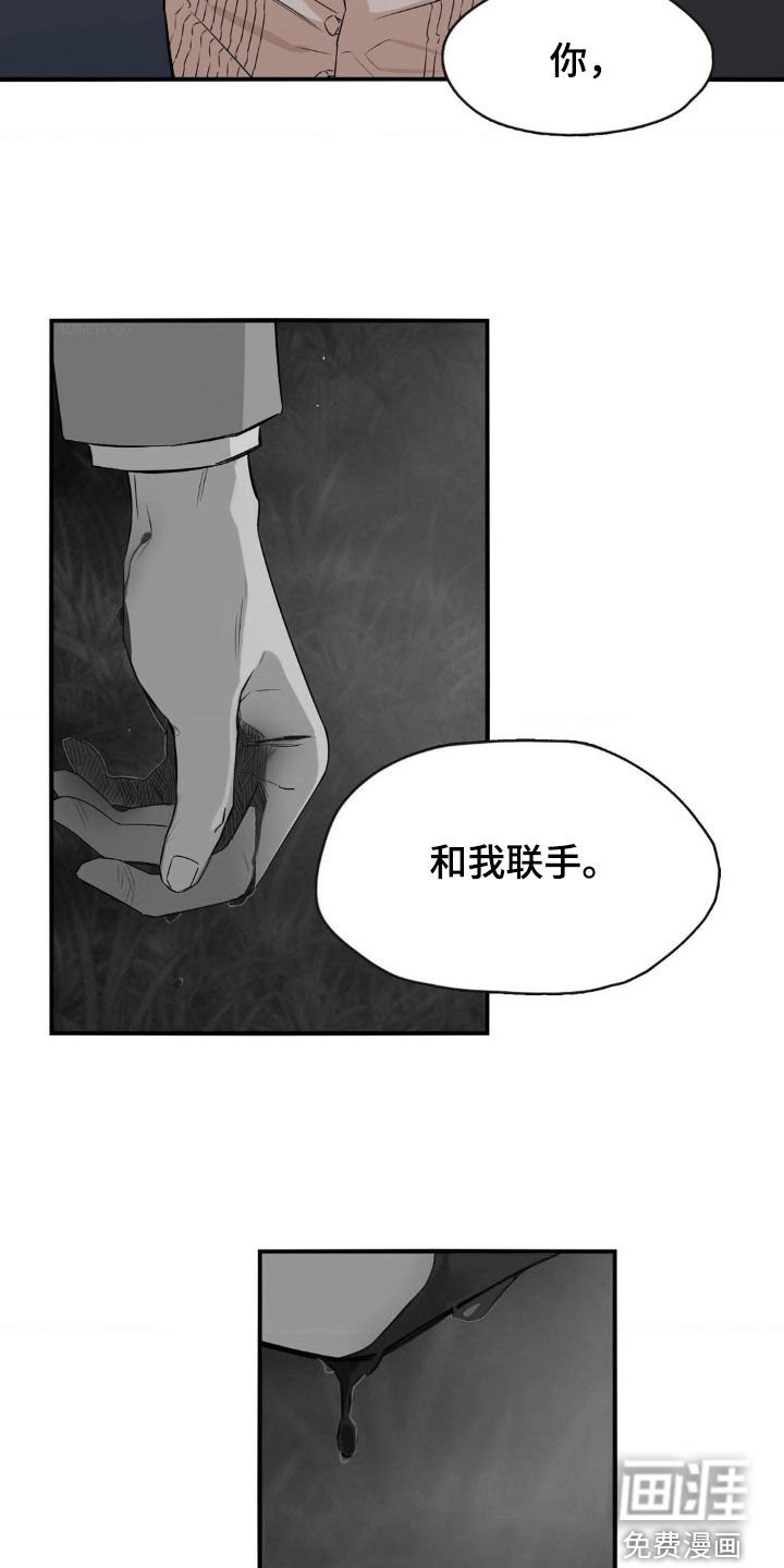 第28章：联手