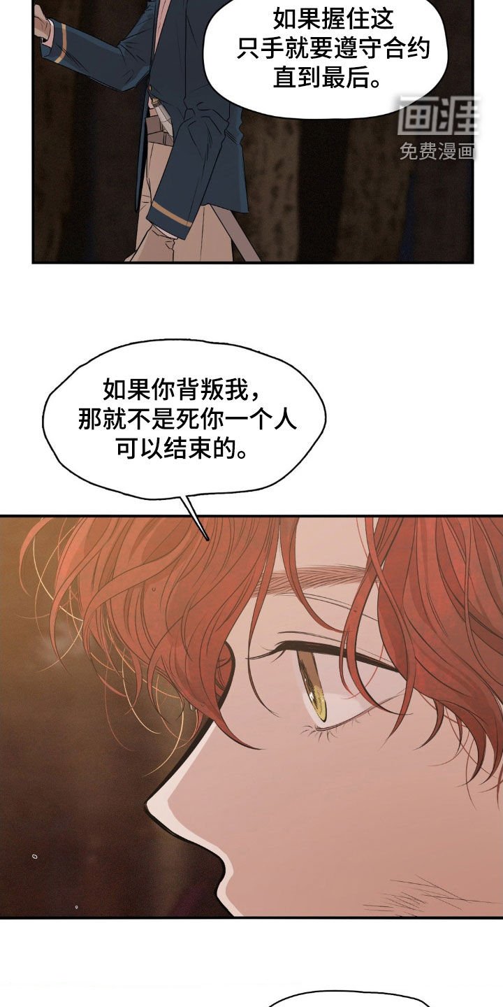 第30章：选择
