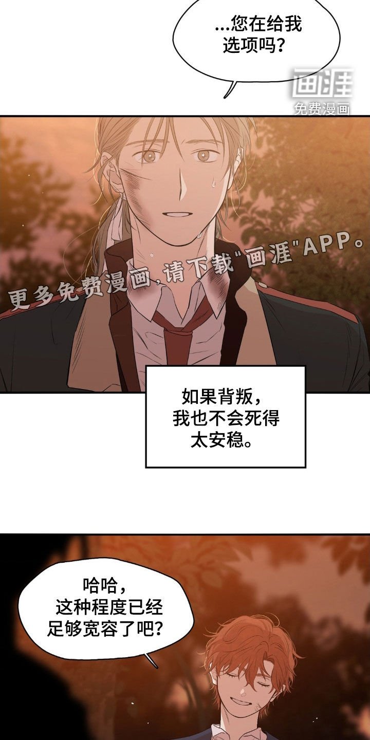 第30章：选择