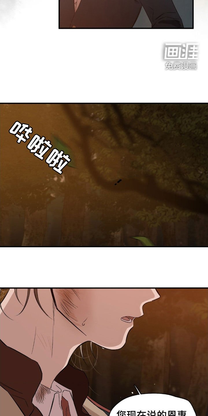第30章：选择