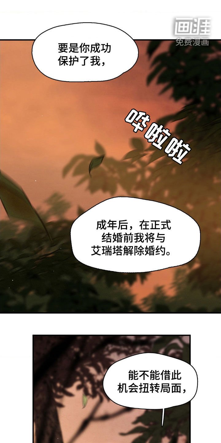 第30章：选择