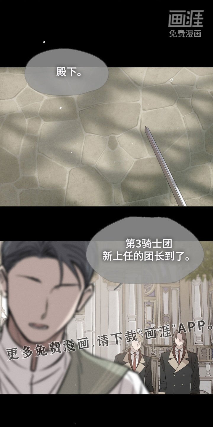 第43章：好用的马 