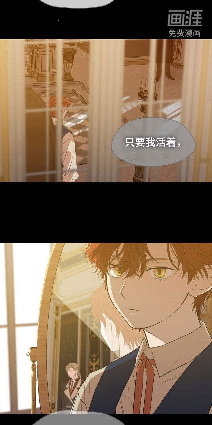 第43章：好用的马 
