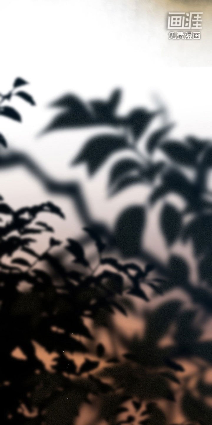第43章：好用的马 