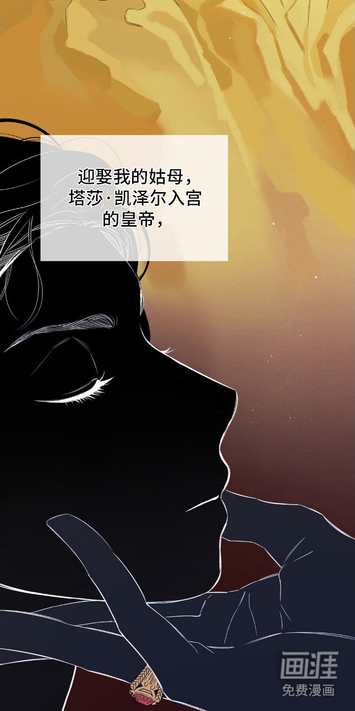 第5章：政敌
