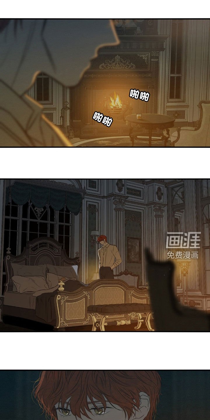 第52章：搞不懂你