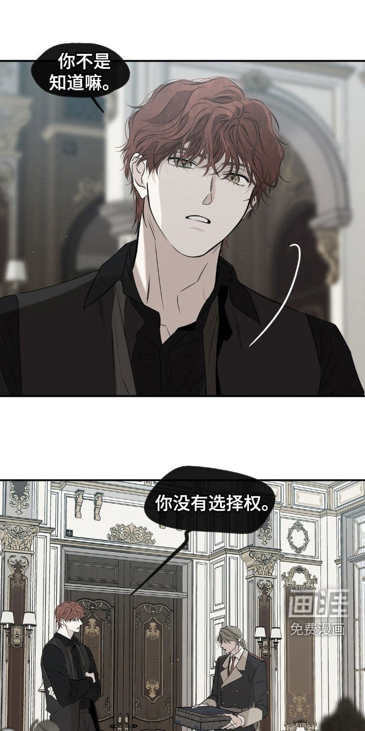 第65章：没有选择权