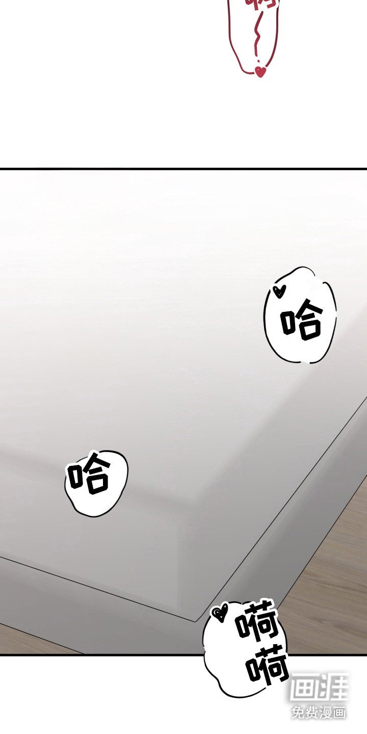 第11章：很平和