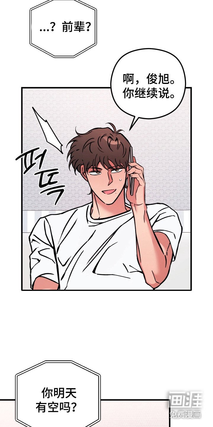 第12章：撒谎