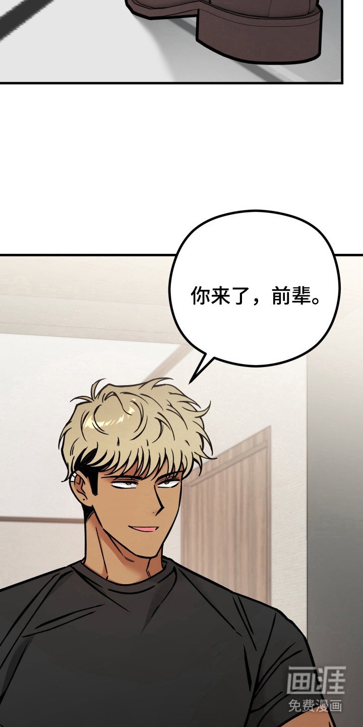 第12章：撒谎