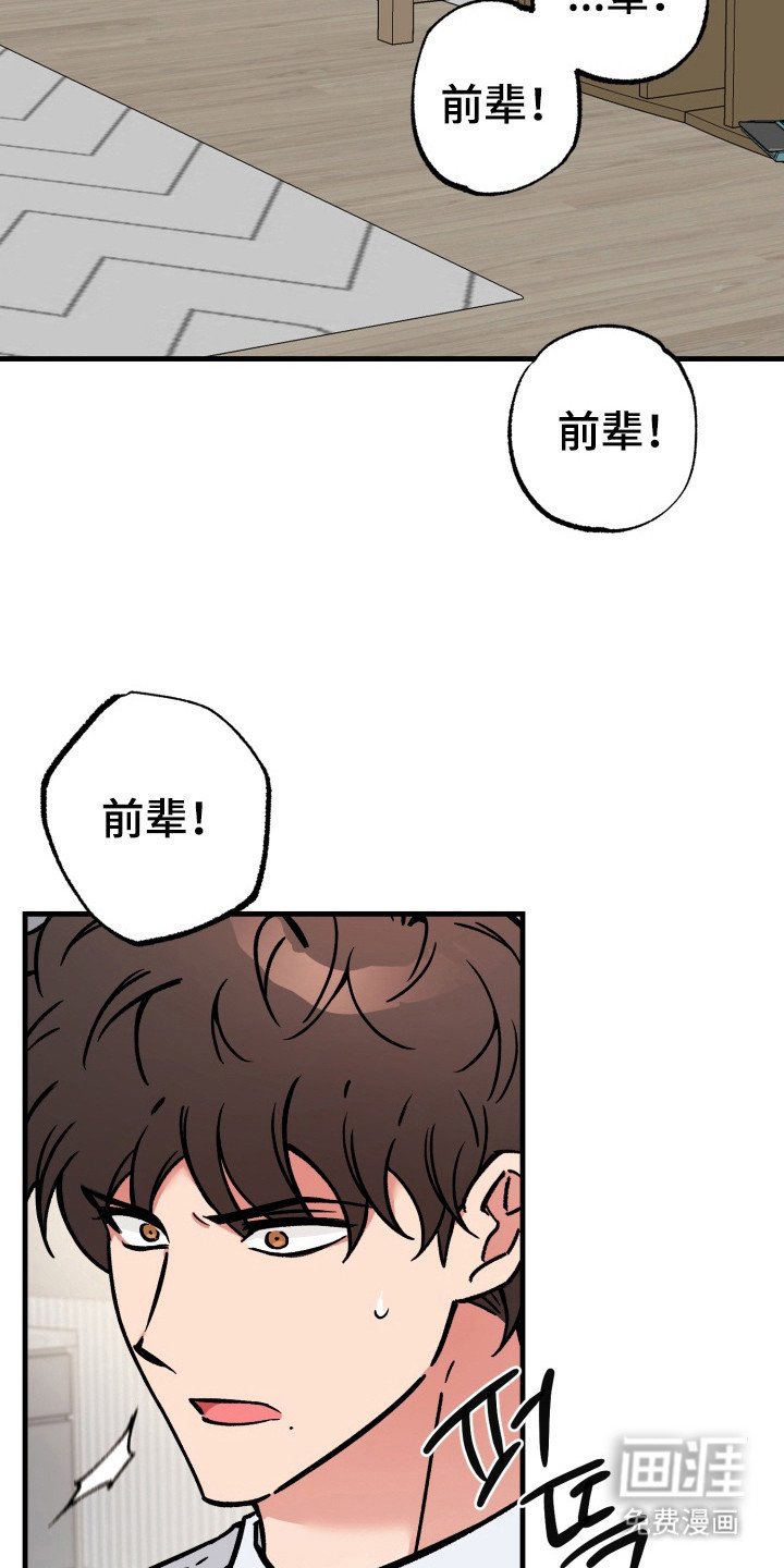 第4章：很诱人